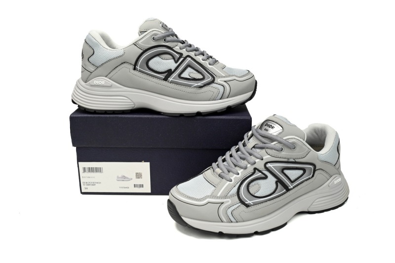 Dior B30 Grey Replica