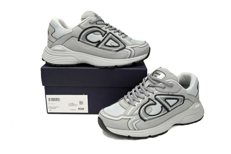 Dior B30 Grey Replica