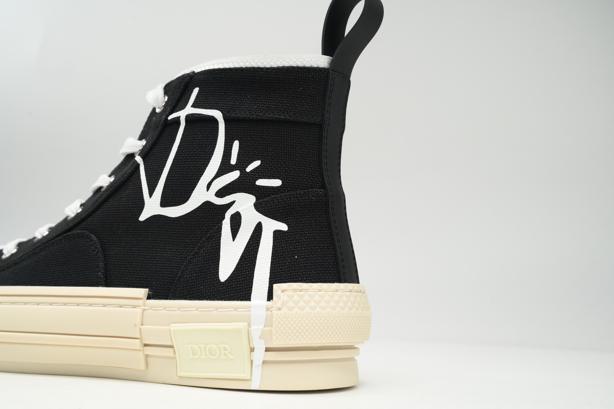 Fake Dior B23 CACTUS JACK Black