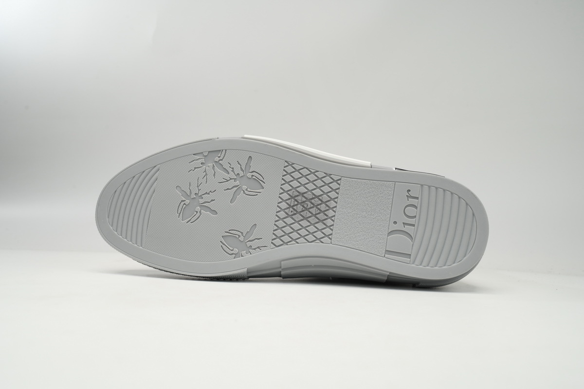 Reps Dior Transparency Silver B23