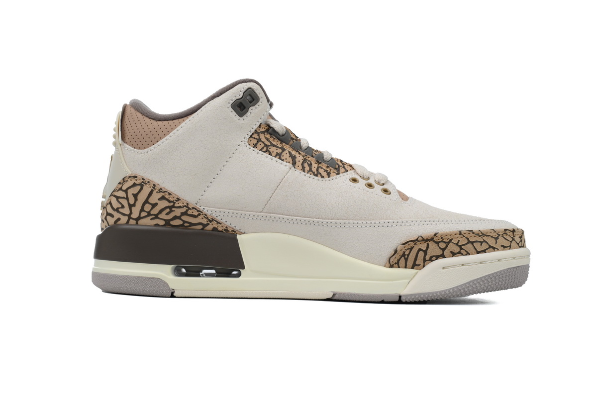 Jordan 3 Retro Palomino CT8532-102