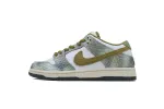 Nike SB Dunk Low Alexis Sablone Chameleon Reps Sneakers HJ3386-300