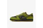 Nike Dunk Low Halloween Skull HV6103-300