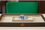 RSNOW Rolex Datejust 41 Oyster-41 mm-Oystersteel and Oystersteel Reference 126300 m126300-0018