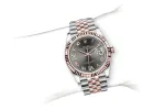 RSNOW Rolex Datejust 36 Oyster-36 mm-Oystersteel and Everose Gold Reference 126231 m126231-0023