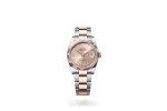 RSNOW Rolex Datejust 36 Oyster-36 mm-Oystersteel and Everose Gold Reference 126231 m126231-0028