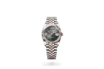 RSNOW Rolex Datejust 36 Oyster-36 mm-Oystersteel and Everose Gold Reference 126231 m126231-0029