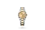 RSNOW Rolex Datejust 36 Oyster-36 mm-Oystersteel and Yellow Gold Reference 126233 m126233-0018