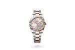 RSNOW Rolex Datejust 41 Oyster-41 mm-Oystersteel and Everose gold Reference 126331 m126331-0007