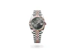 RSNOW Rolex Datejust 41 Oyster-41 mm-Oystersteel and Everose gold Reference 126331 m126331-0016