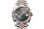RSNOW Rolex Datejust 41 Oyster-41 mm-Oystersteel and Everose gold Reference 126331 m126331-0016
