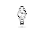 RSNOW Rolex Datejust 41 Oyster-41 mm-Oystersteel and Oystersteel Reference 126300 m126300-0005