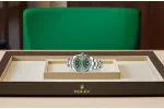 RSNOW Rolex Datejust 41 Oyster-41 mm-Oystersteel and White Gold Reference 126334 m126334-0027