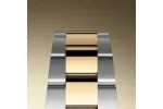 RSNOW Rolex Datejust 41 Oyster-41 mm-Oystersteel and Yellow Gold Reference 126303 m126303-0001