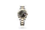 RSNOW Rolex Datejust 41 Oyster-41 mm-Oystersteel and Yellow Gold Reference 126333 m126333-0005