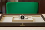 RSNOW Rolex Datejust 41 Oyster-41 mm-Oystersteel and Yellow Gold Reference 126333 m126333-0005