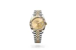 RSNOW Rolex Datejust 41 Oyster-41 mm-Oystersteel and Yellow Gold Reference 126333 m126333-0010