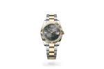 RSNOW Rolex Datejust 41 Oyster-41 mm-Oystersteel and Yellow Gold Reference 126333 m126333-0019