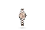 RSNOW Rolex Datejust 31 Oyster-31 mm-Oystersteel and Everose Gold Reference 278241 m278241-0009