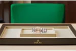 RSNOW Rolex Datejust 31 Oyster-31 mm-Oystersteel and Everose Gold Reference 278241 m278241-0009