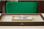 RSNOW Rolex Datejust 31 Oyster-31 mm-Oystersteel and Reference 278240 m278240-0005