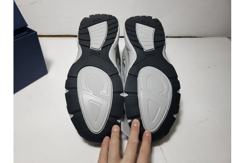 Dior B30 Grey 3SN279ZLZ_H860