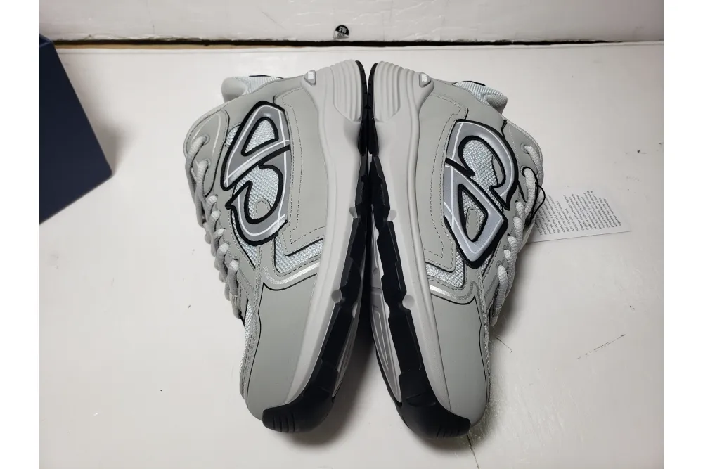 Dior B30 Grey 3SN279ZLZ_H860