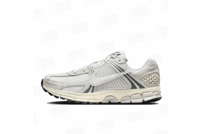 Nike Zoom Vomero 5 Platinum Tint RSNOW HF0731-007 01