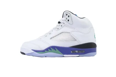 Jordan 5 Retro Grape (2025) Reps Sneaker HQ7978-100 01