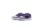 Nike SB Dunk Low Hayley Wilson Court Purple HJ0513-500