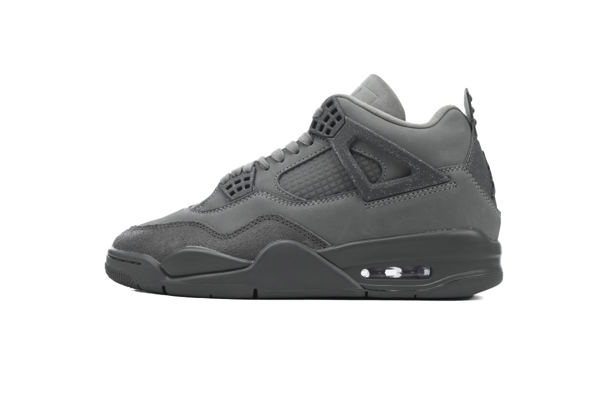 Fake Jordan 4 Paris Olympics