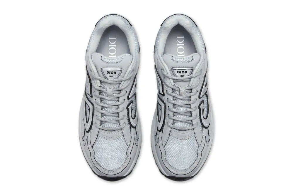 Dior B30 Gray 3SN279ZRD_H868
