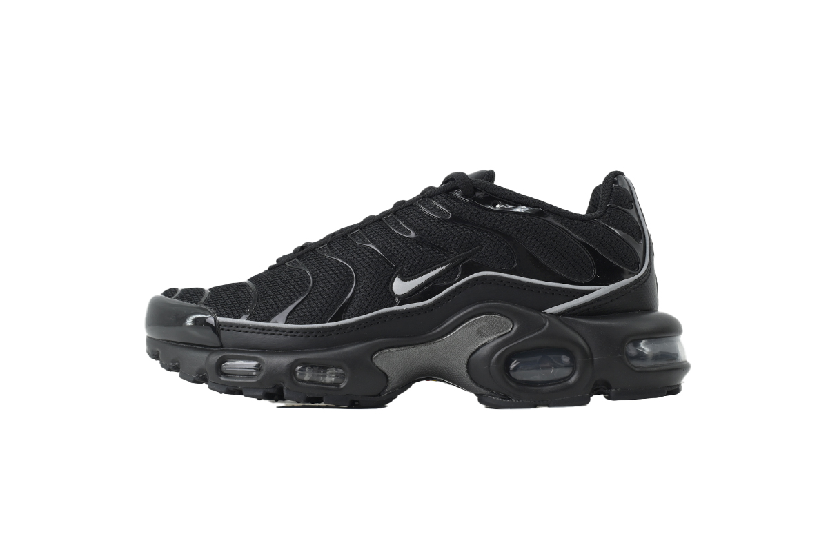 Nike Air Max Plus OG Black Reflective HV8066-002