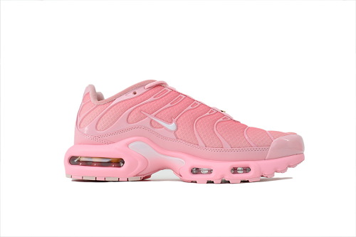 Nike Air Max Plus Atlanta Reps 
