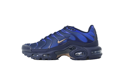 Fake Nike Air Max Plus French Football Federation
