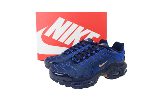 Air Max Plus French Football Federation  IQ0170-400