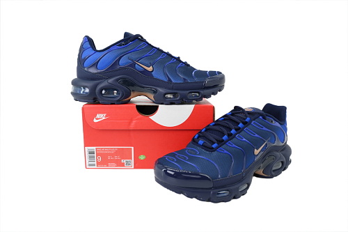 Air Max Plus French Football Federation  IQ0170-400