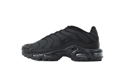 Nike Air Max Plus Triple Black  AJ2029-001 01