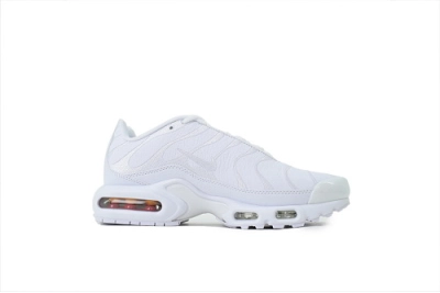 Nike Air Max Plus Triple White  AJ2029-100 02