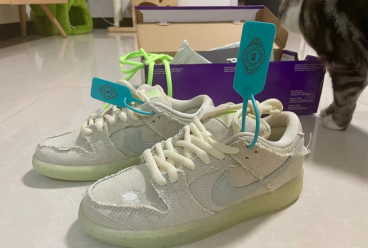 Nike SB Dunk Low Mummy Reps Sneaker DM0774-111 review Eric C.