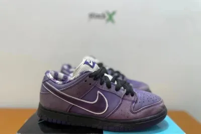 Nike SB Dunk Low Concepts Purple Lobster Reps Sneaker BV1310 555 review hanie