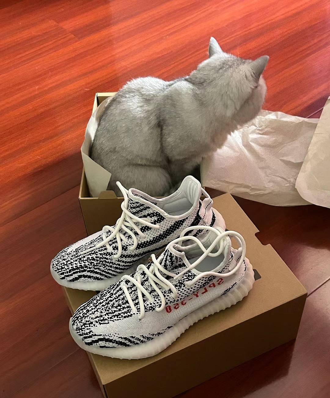 Yeezy Boost 350 v2 Zebra Reps Sneaker CP9654 review 0