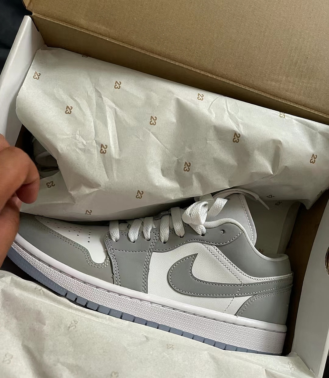 Air Jordan 1 Low White Wolf Grey Reps Sneaker DC0774-105 review Brian P