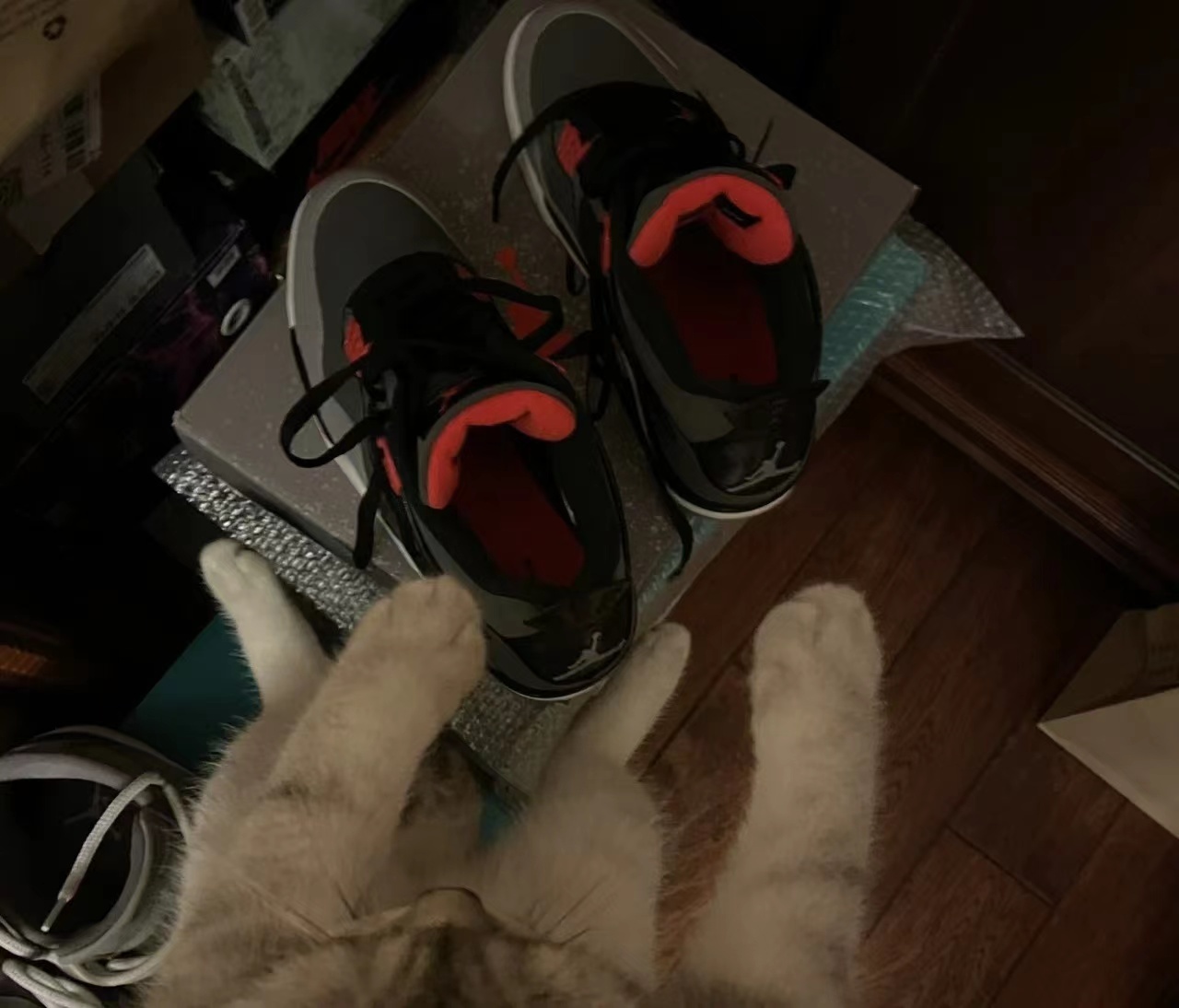 Nike Air Jordan 4 Retro Infrared 2022 Reps Sneakers DH6927-061 review Cristopher Rodas 01