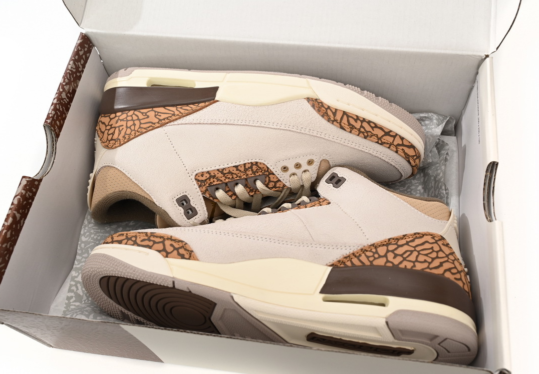 Jordan 3 Retro Palomino CT8532-102 review Whitney Dilley