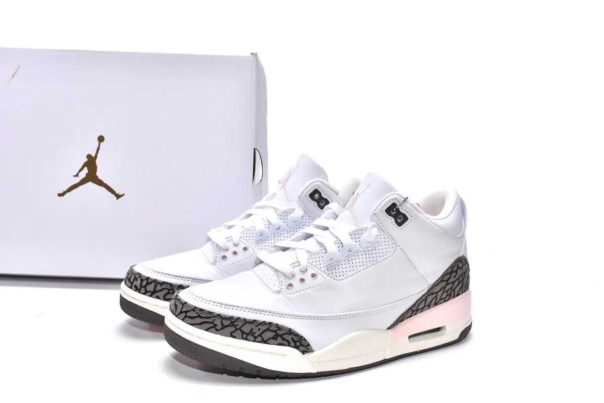 Air Jordan 3 Neapolitan