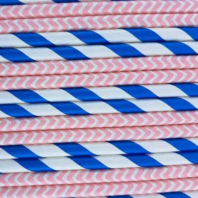 Disposable Art Biodegradable Straws - Eco-Friendly Party Decoration & Juice Bar Supplies | Factory Direct 02