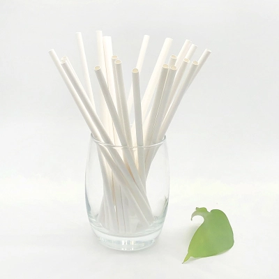Paper Straws Disposable Paper Straws White Primary Color Beverage Coffee Straws 01