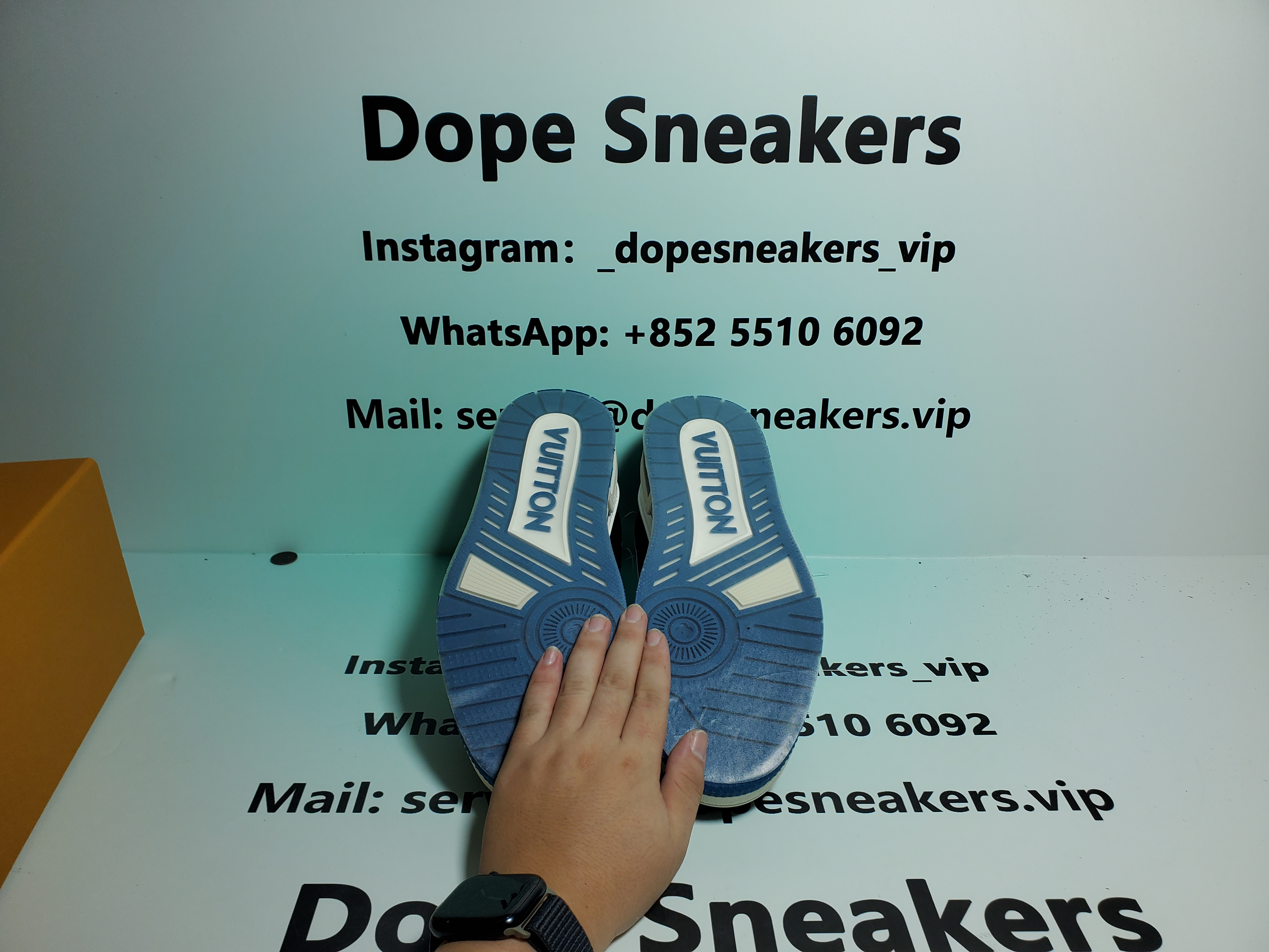 Louis Vuitton Trainer Black Blue  GO1220