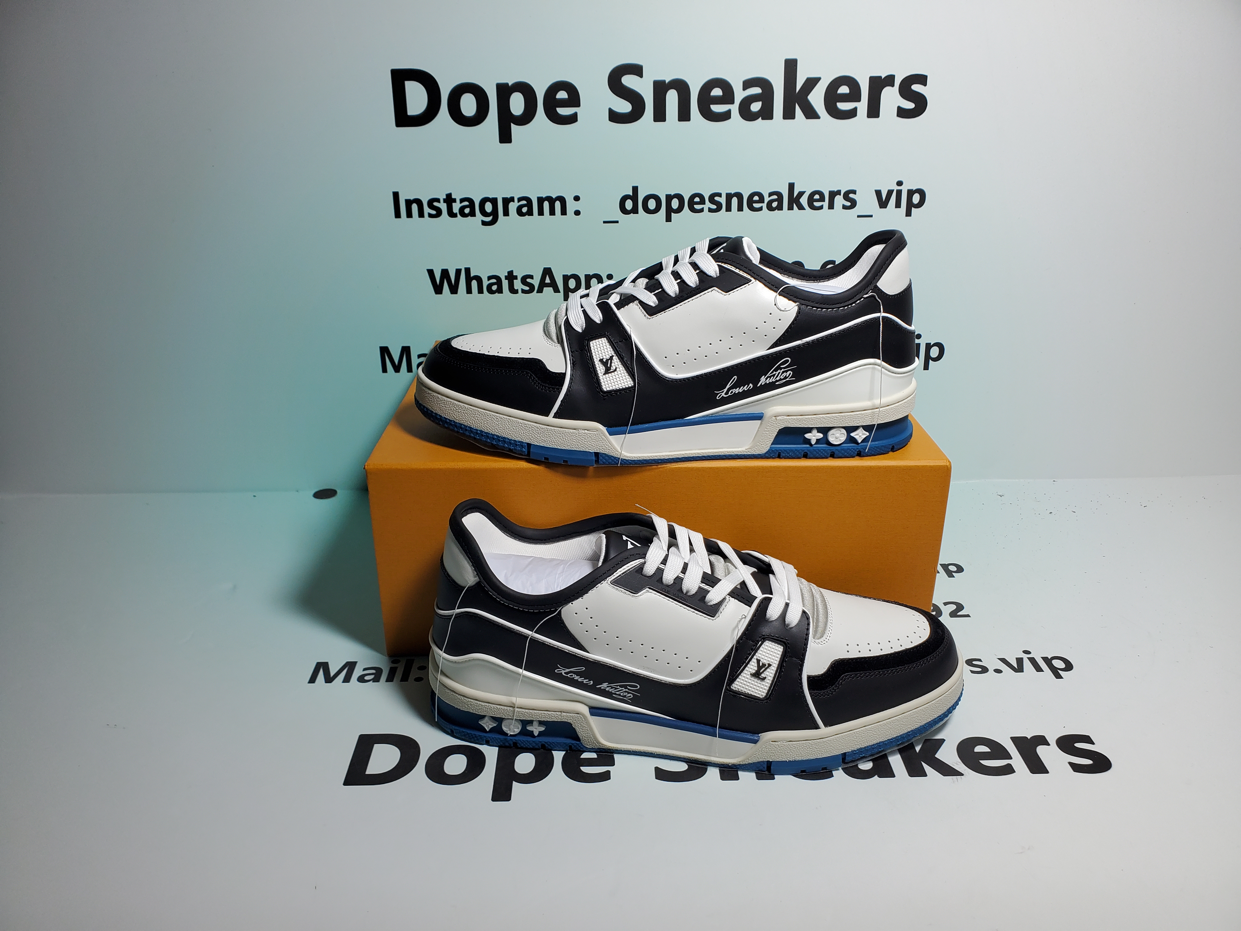 Louis Vuitton Trainer Black Blue  GO1220